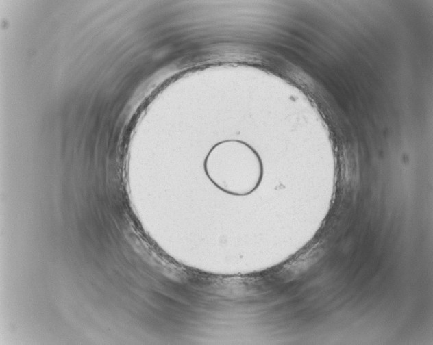 X0000054400828200508262229