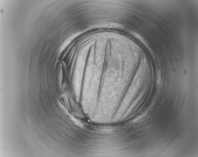 X0000054400829200508262229