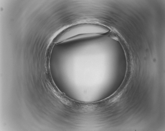 X0000054400830200508262229