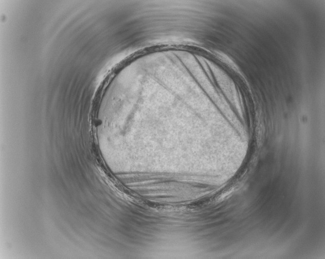 X0000054400831200508262229