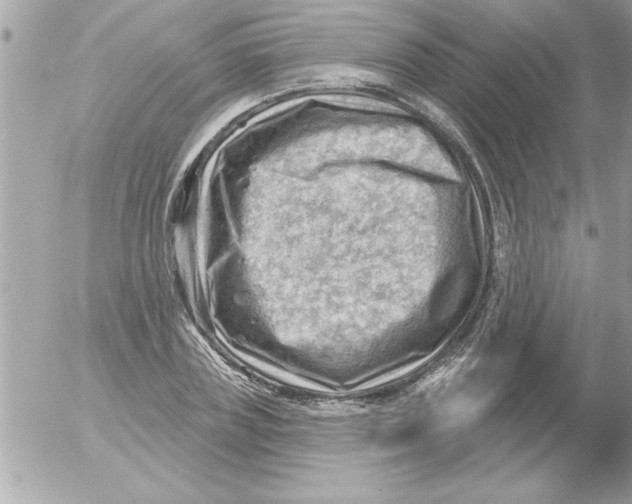 X0000054400835200508262229