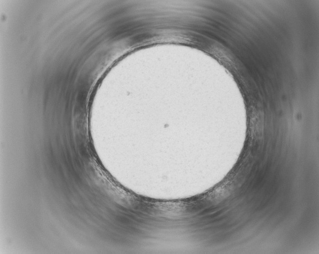 X0000054400836200508262229