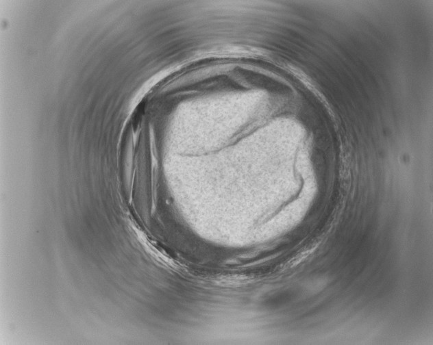 X0000054400837200508262229