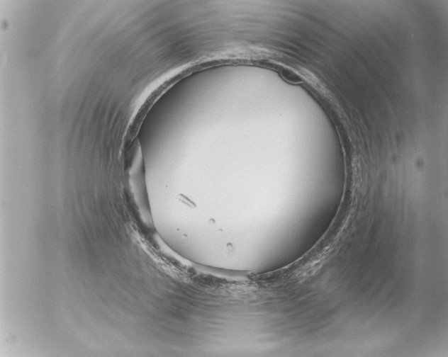 X0000054400838200508262229