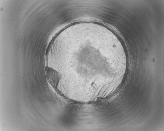 X0000054400839200508262229