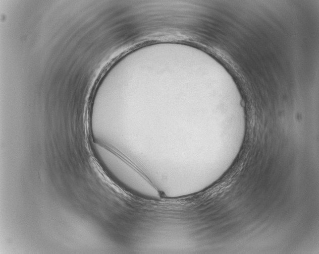 X0000054400840200508262229