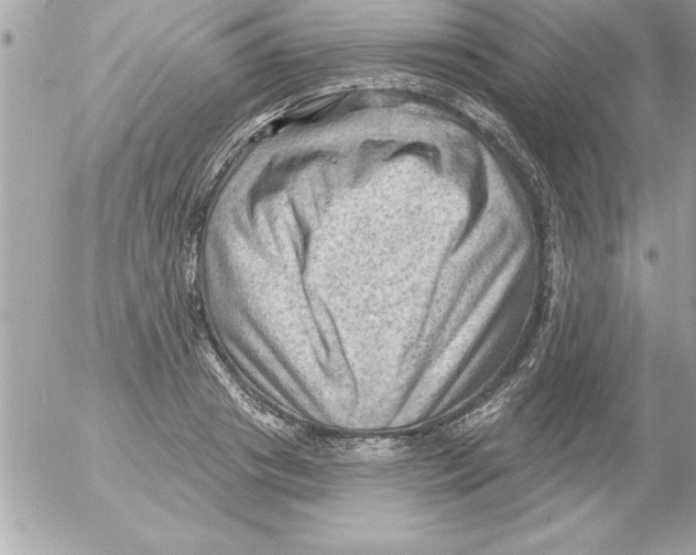 X0000054400841200508262229