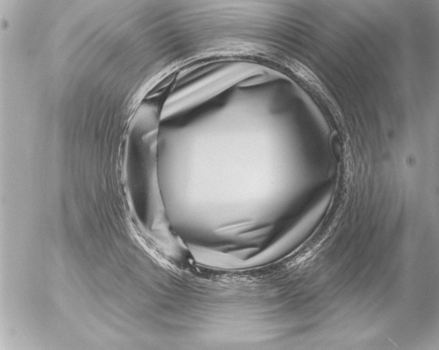 X0000054400842200508262229