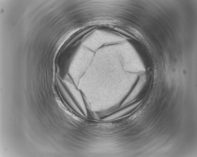 X0000054400844200508262229