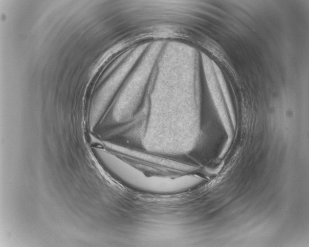 X0000054400845200508262229