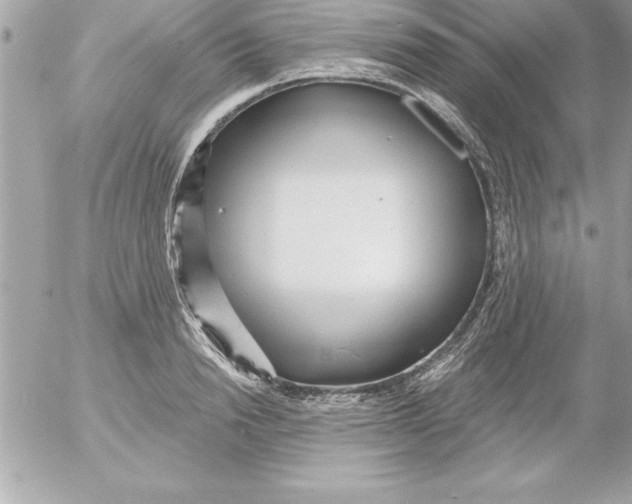 X0000054400846200508262229