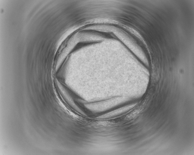 X0000054400847200508262229