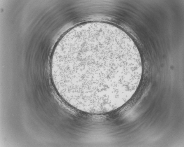 X0000054400848200508262229