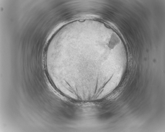 X0000054400851200508262229