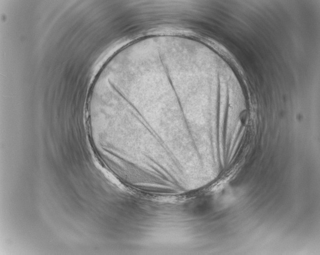 X0000054400855200508262229