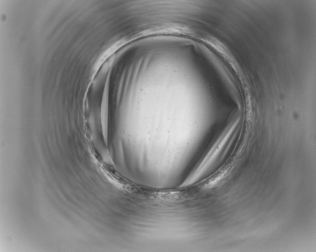 X0000054400858200508262229