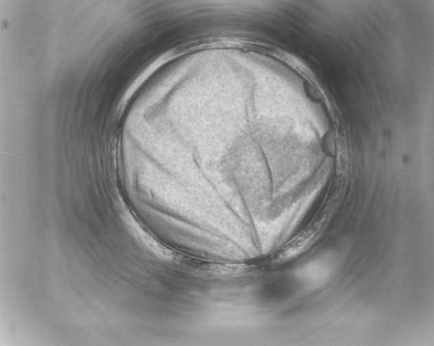 X0000054400859200508262229