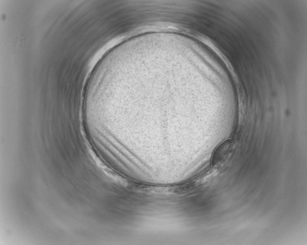 X0000054400861200508262229