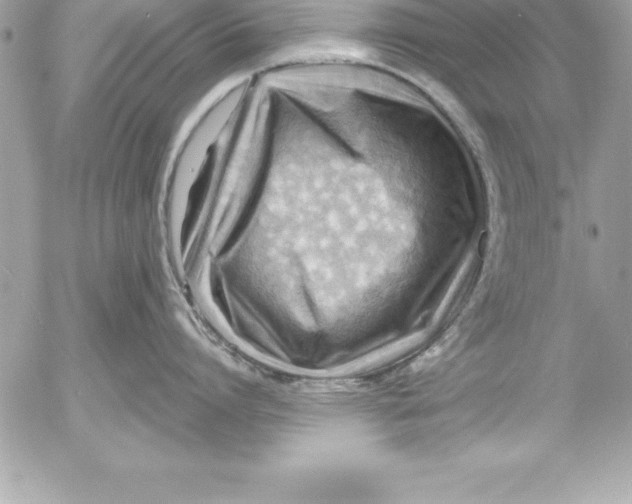 X0000054400864200508262229