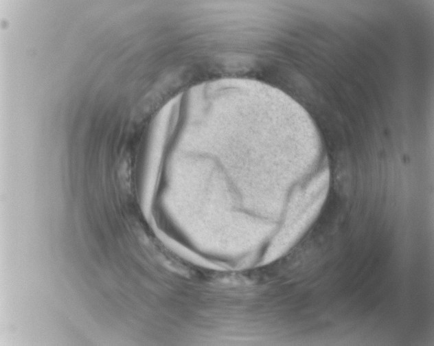 X0000054400866200508262229