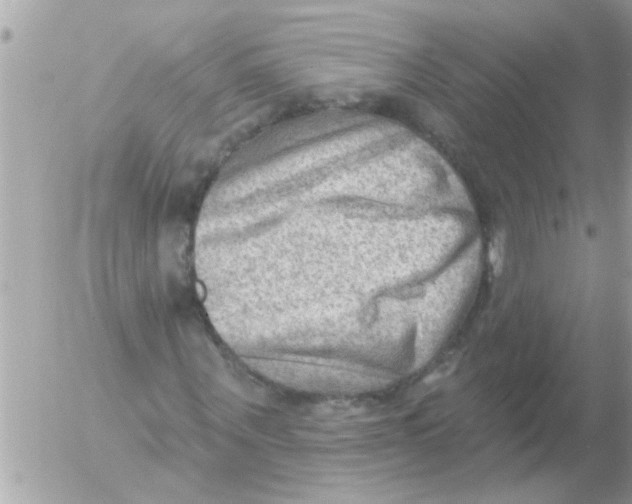 X0000054400867200508262228