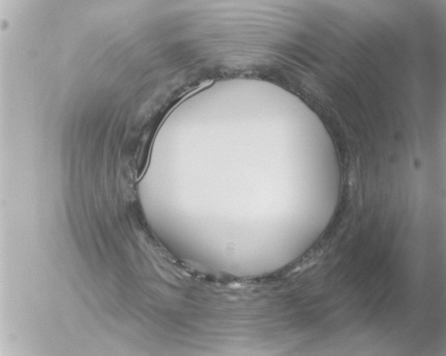 X0000054400868200508262228