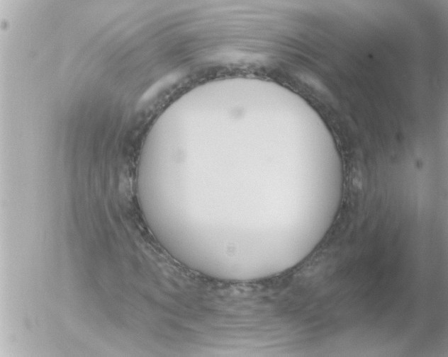 X0000054400869200508262228