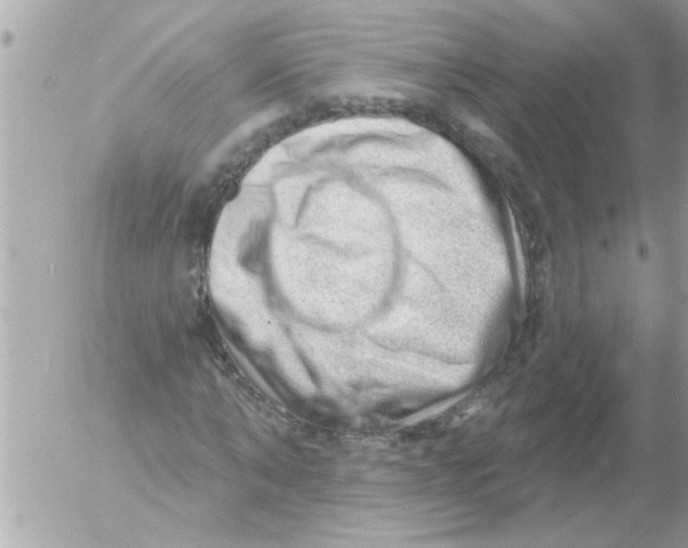 X0000054400870200508262228