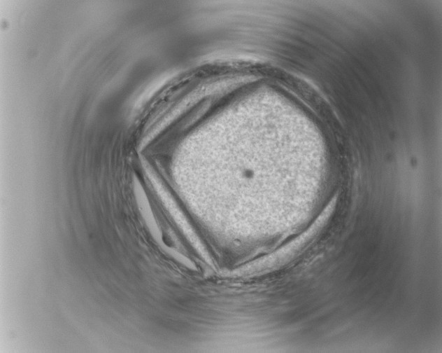 X0000054400871200508262228