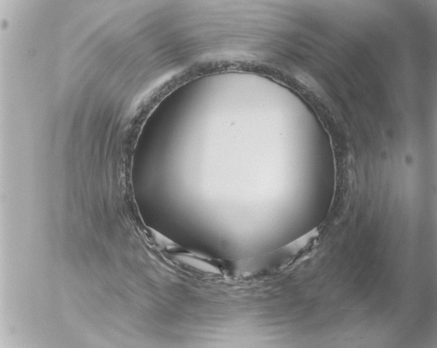 X0000054400872200508262228