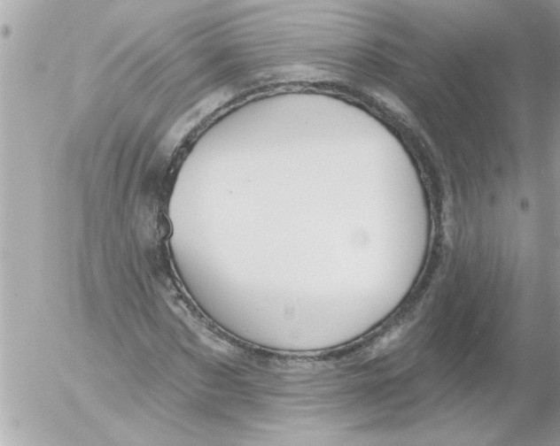 X0000054400873200508262228