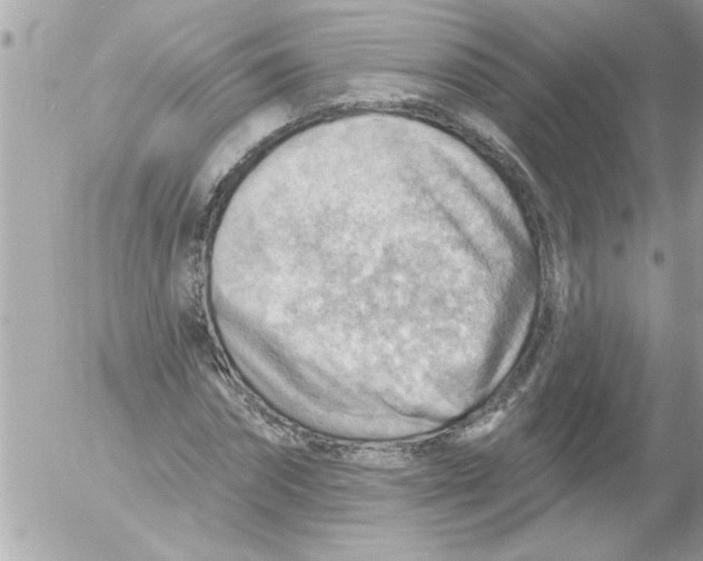 X0000054400874200508262228