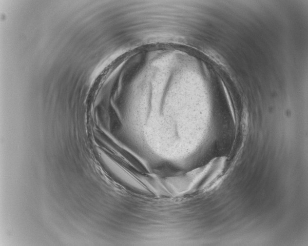 X0000054400877200508262228