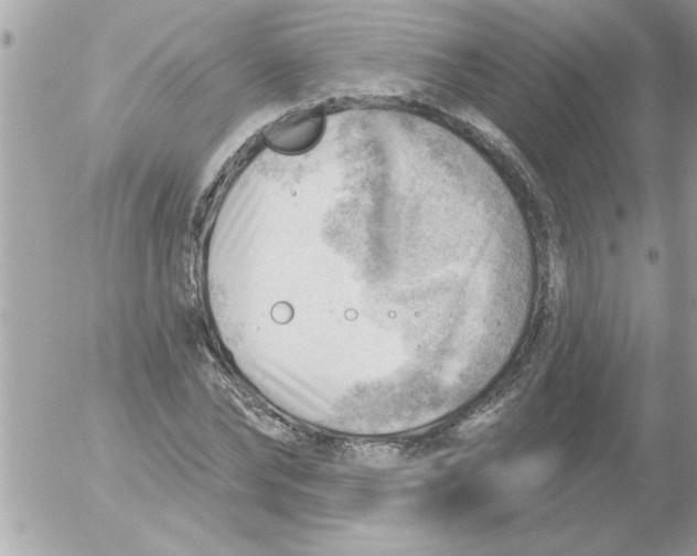 X0000054400878200508262228