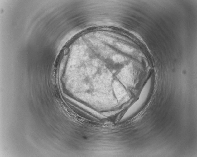 X0000054400879200508262228