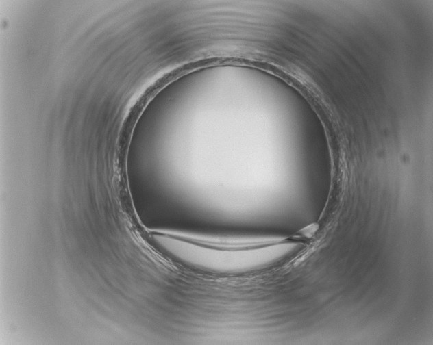 X0000054400880200508262228