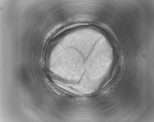 X0000054400882200508262228