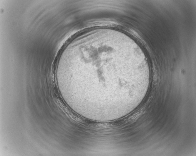 X0000054400883200508262228