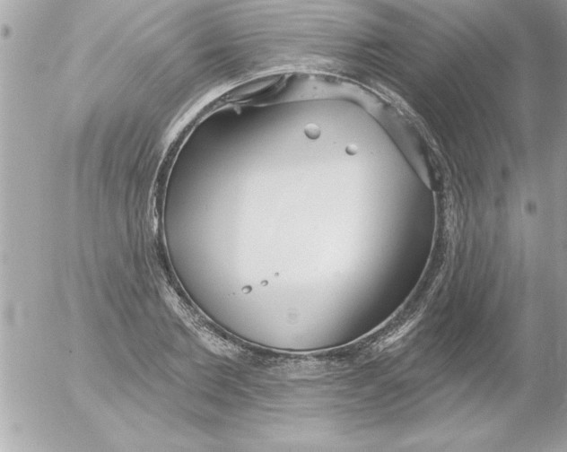 X0000054400885200508262228