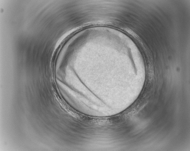 X0000054400886200508262228