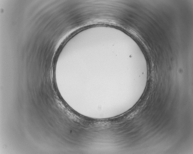 X0000054400888200508262228