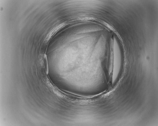 X0000054400889200508262228