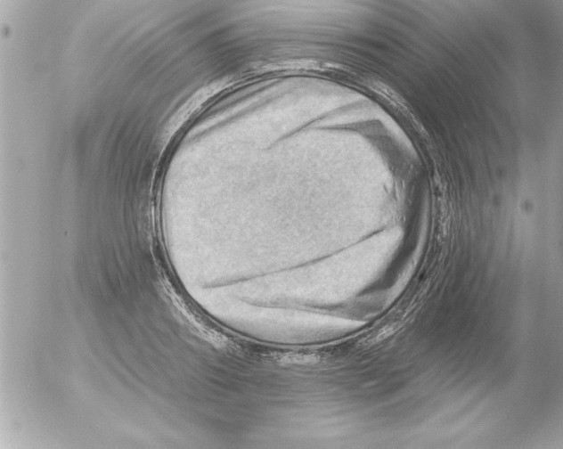 X0000054400890200508262228