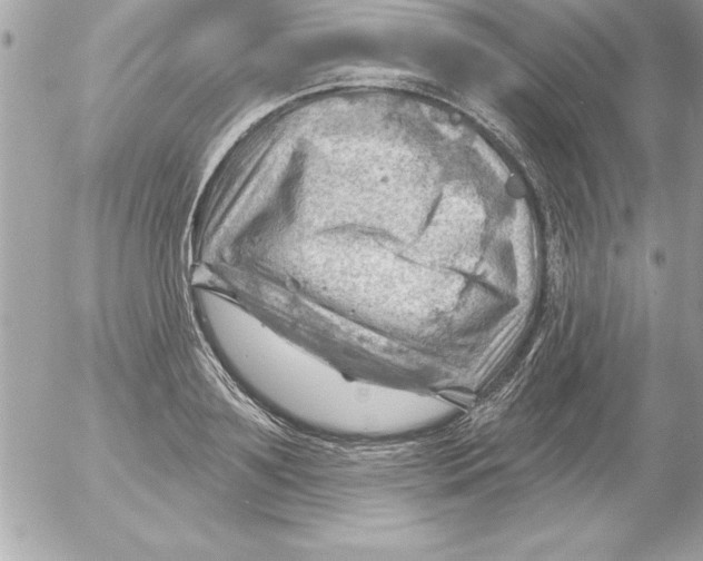 X0000054400891200508262228