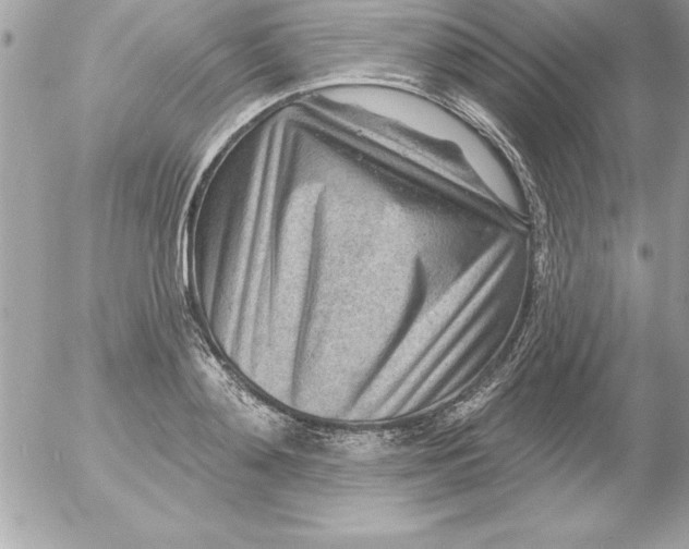 X0000054400892200508262228