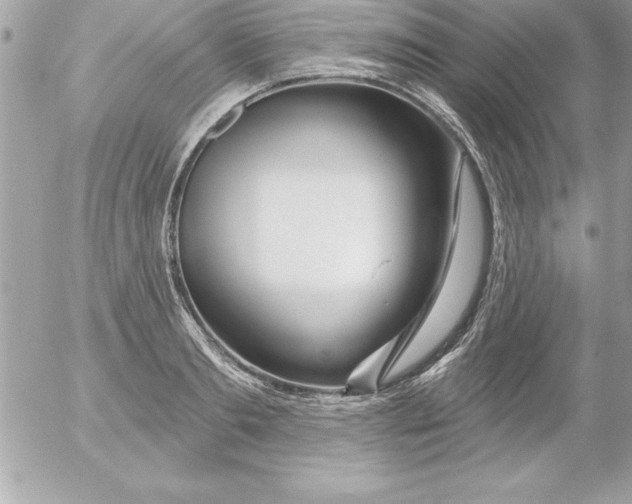 X0000054400893200508262228