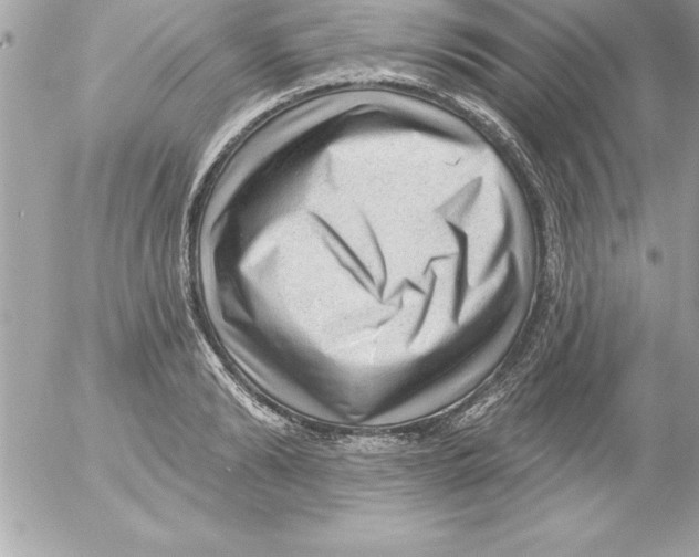 X0000054400894200508262228