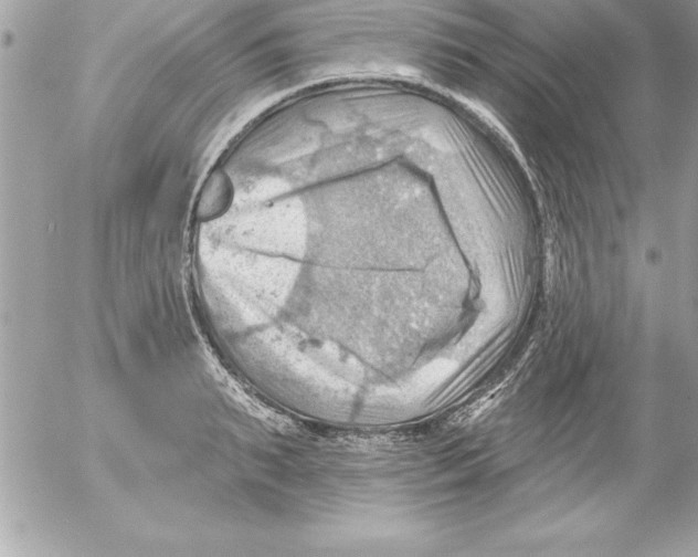 X0000054400895200508262228