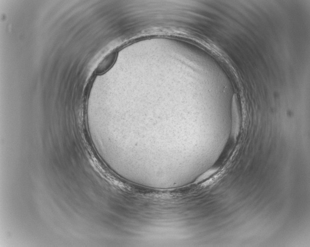 X0000054400896200508262228