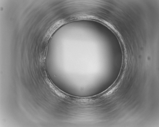 X0000054400897200508262228